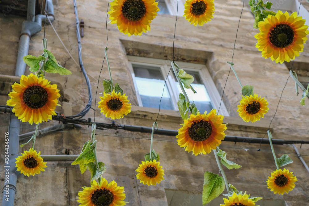 Bright Sunflowers Hang Down On The Backgrof The House. Avignon Street  Decoration. Provence Tourism. Stock Photo | Adobe Stock Regarding Hanging Sunflower (Photo 8 of 15)