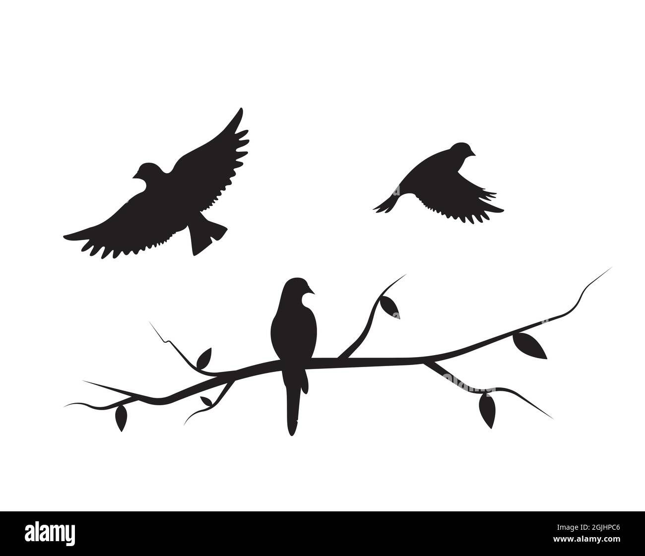Flying Birds Silhouette On A Branch And Flying Bird, Vector. Birds  Illustration, Illustration. Wall Decals, Art Decoration, Wall Artwork. Birds  Stock Vector Image & Art – Alamy Throughout Silhouette Bird Wall Art (Photo 4 of 15)