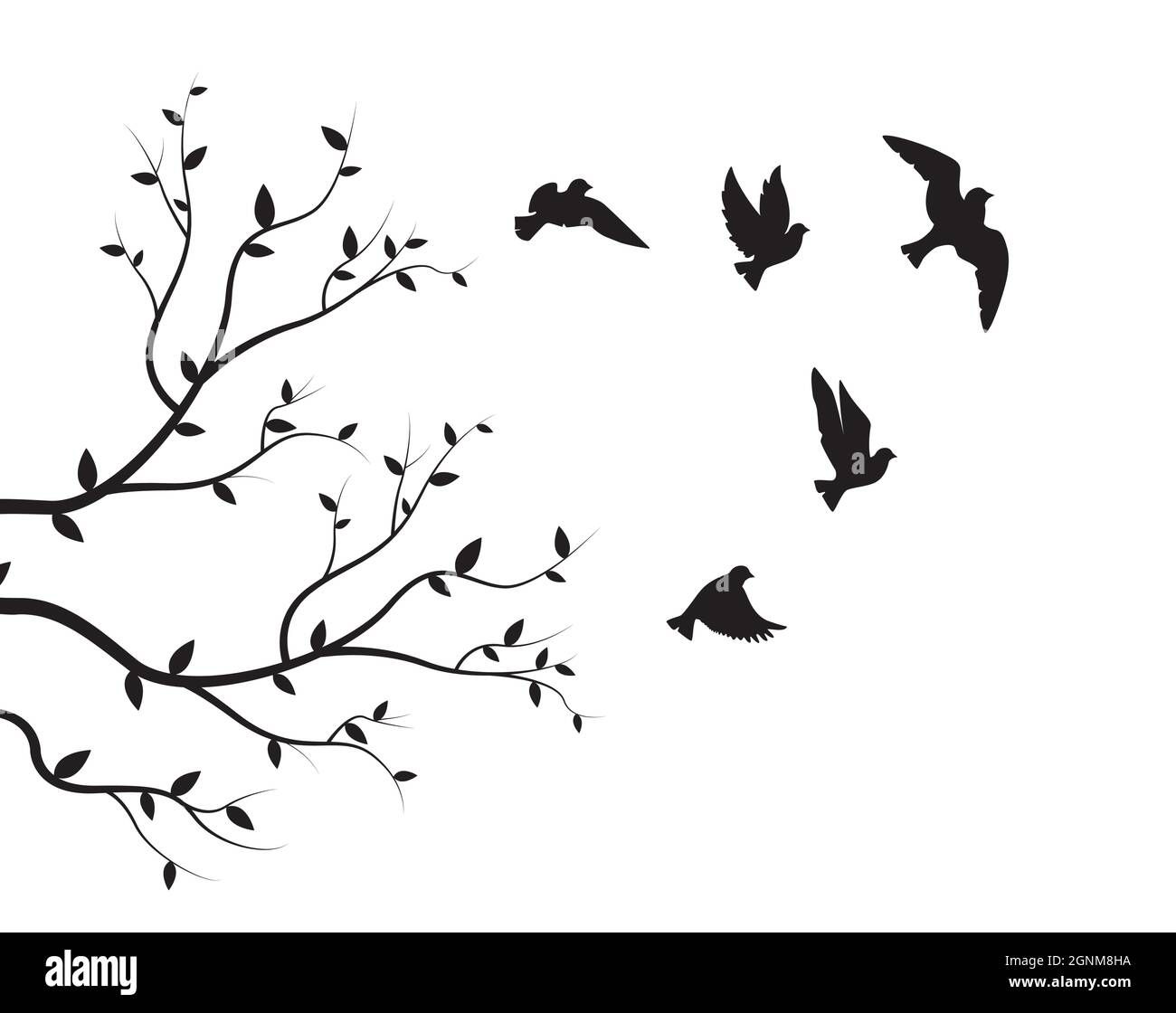 Flying Birds Silhouettes And Branch Illustration Isolated On White  Background, Vector. Natural Wall Decals, Wall Art, Artwork. Black And White  Minimal Stock Vector Image & Art – Alamy Regarding Silhouette Bird Wall Art (Photo 2 of 15)