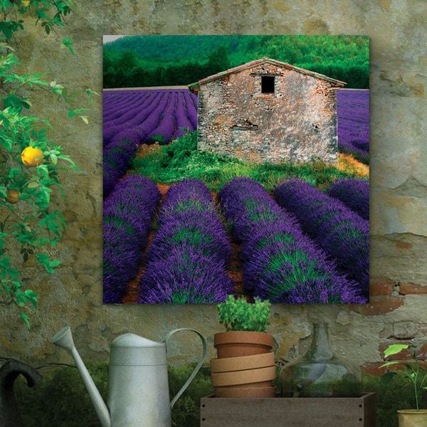 Lavender Indoor/outdoor Wall Art | Acorn With Indoor Outdoor Wall Art (Photo 10 of 15)
