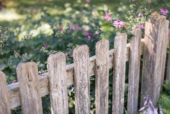 Old Rugged Fence Wall Prints Photo Rustic Home Decor – Etsy Inside Bathroom Bedroom Fence Wall Art (View 3 of 15)