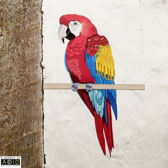 Parrot Wall Sticker Parrot Wall Art Tropical Wall Decor – Etsy Within Bird Macaw Wall Sculpture (View 13 of 15)
