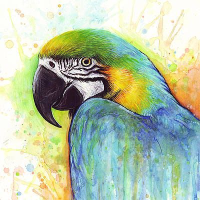 Tropical Bird Paintings For Sale | Fine Art America With Regard To Parrot Tropical Wall Art (Photo 15 of 15)
