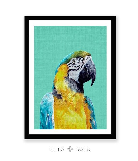 Tropical Bird Print Parrot Wall Art Photographie Doiseaux – Etsy France Pertaining To Parrot Tropical Wall Art (Photo 2 of 15)