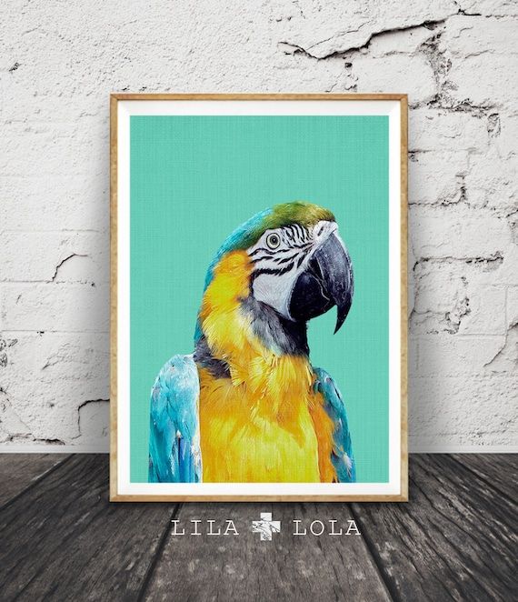 Featured Photo of 2024 Popular Parrot Tropical Wall Art