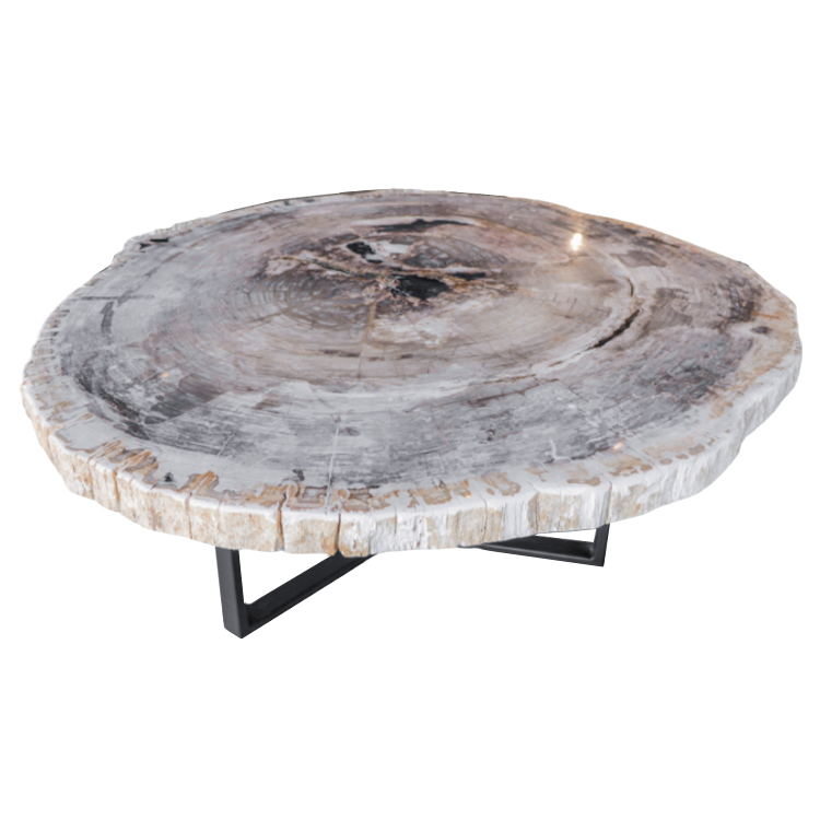 Petrified Wood Coffee Tables | Unik Living – Unique Tables, Custom Made In Pemberly Row Replicated Wood Coffee Tables (View 15 of 15)