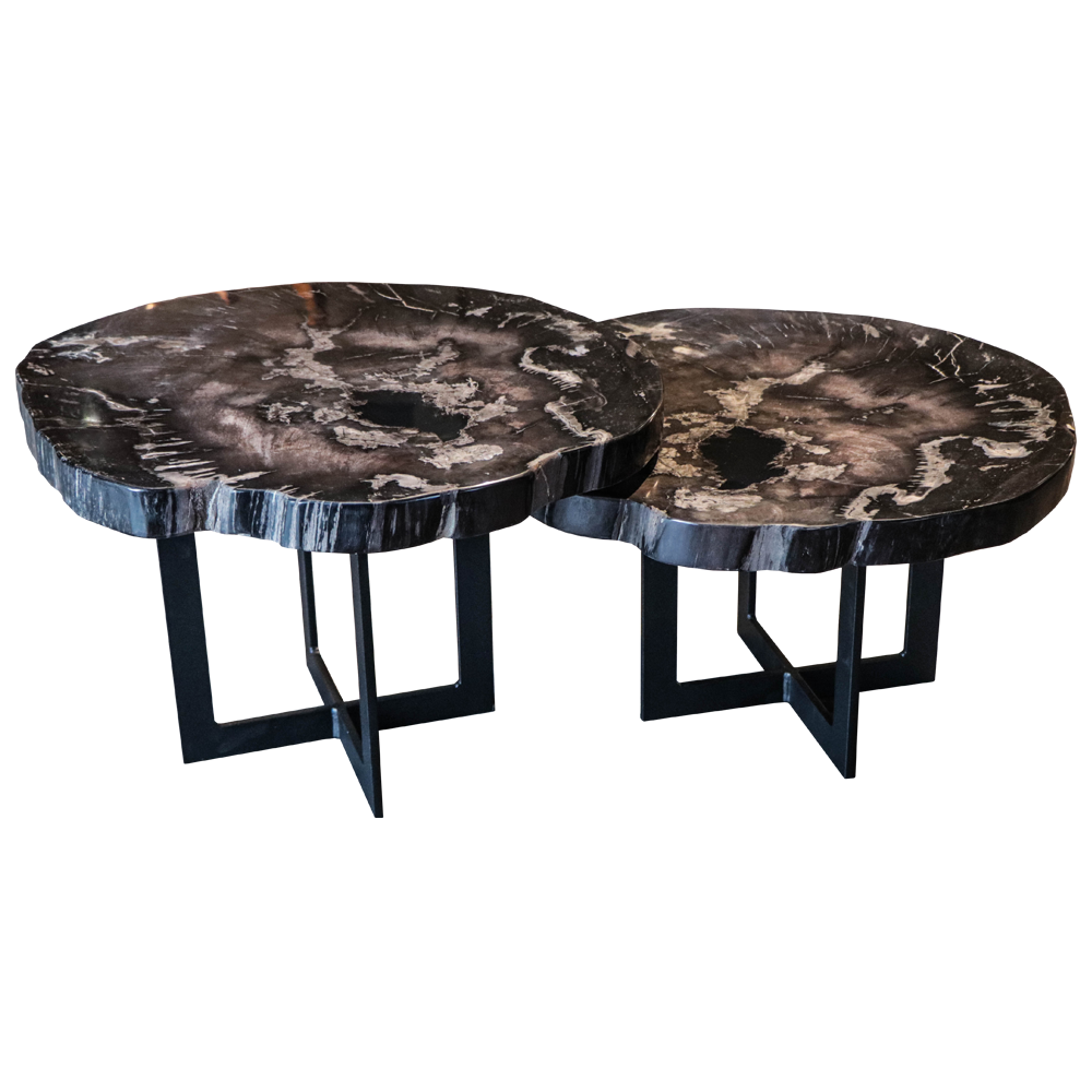 Petrified Wood Coffee Tables | Unik Living – Unique Tables, Custom Made Inside Pemberly Row Replicated Wood Coffee Tables (Photo 14 of 15)