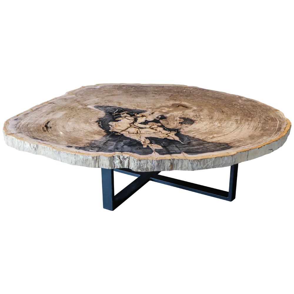 Petrified Wood Coffee Tables | Unik Living – Unique Tables, Custom Made With Pemberly Row Replicated Wood Coffee Tables (Photo 13 of 15)
