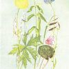 Botanical Prints Etsy (Photo 4 of 20)