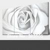 Roses Canvas Wall Art (Photo 6 of 15)