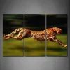 Cheetah Wall Art (Photo 7 of 15)