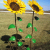 Metal Sunflower Yard Art (Photo 1 of 20)