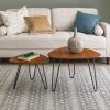 Mid-Century Modern Coffee Tables (Photo 9 of 15)