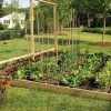 Ideas of How to Build Raised Garden Beds (Photo 6 of 10)