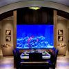 Anti-Stress: Aquariums in Living Room (Photo 12 of 21)