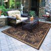 15 Beauty Outdoor Rugs You’ll Love (Photo 14 of 15)
