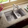Modern Kitchen Design with the Undermount Kitchen Sink (Photo 4 of 10)