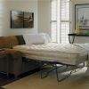 How to Select the Comfortable Sofa Beds (Photo 8 of 10)