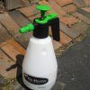 Homemade Best Weed Killer for Lawns (Photo 5 of 10)