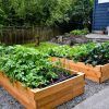 Ideas of How to Build Raised Garden Beds (Photo 9 of 10)