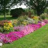 Creating the Flower Bed Border Ideas for Your Lawn (Photo 6 of 10)