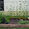 Ideas of How to Build Raised Garden Beds (Photo 10 of 10)