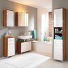 Complete Your Bathroom with Bathroom Vanity Furniture (Photo 6 of 17)