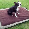 Tips of How to Make a Dog Bed (Photo 10 of 10)