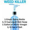 Homemade Best Weed Killer for Lawns (Photo 3 of 10)