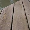 Solve Trex Decking Problems Tips (Photo 8 of 10)