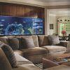 Anti-Stress: Aquariums in Living Room (Photo 7 of 21)