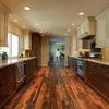 Recommended Kitchen Paint Color Ideas to Choose (Photo 10 of 10)