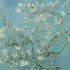 2024 Best of Almond Blossoms Wall Art