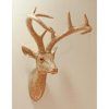 Stag Head Wall Art (Photo 18 of 20)