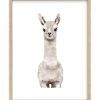 Framed Animal Art Prints (Photo 14 of 15)