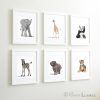 Framed Animal Art Prints (Photo 6 of 15)