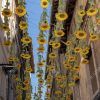 Hanging Sunflower (Photo 4 of 15)