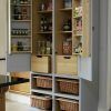 Pantry Cabinets to Utilize Your Kitchen (Photo 11 of 17)