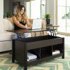 Modern Coffee Tables With Hidden Storage Compartments (Photo 15 of 15)
