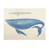Whale Canvas Wall Art (Photo 11 of 25)