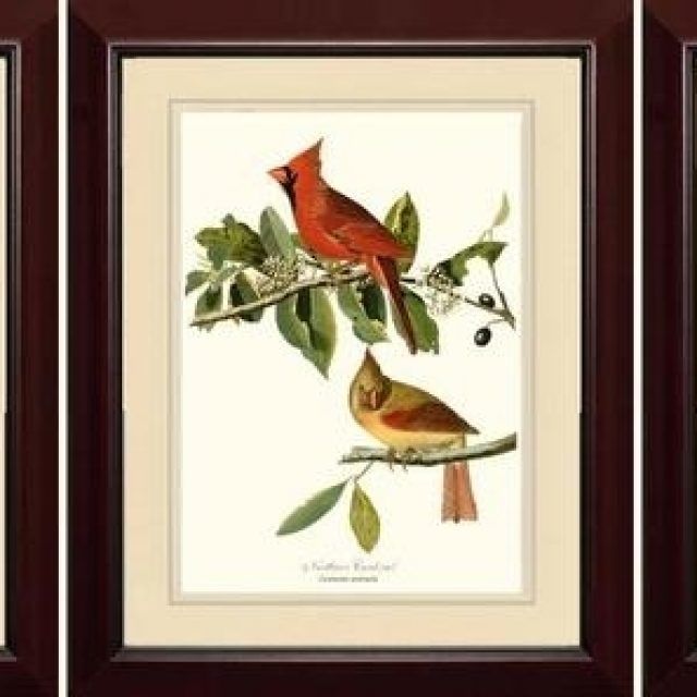  Best 15+ of Birds Framed Art Prints