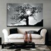 Black and White Large Canvas Wall Art (Photo 7 of 25)