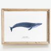 Whale Wall Art (Photo 3 of 15)