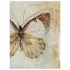 Butterfly Canvas Wall Art (Photo 15 of 20)