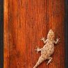 Gecko Canvas Wall Art (Photo 18 of 20)