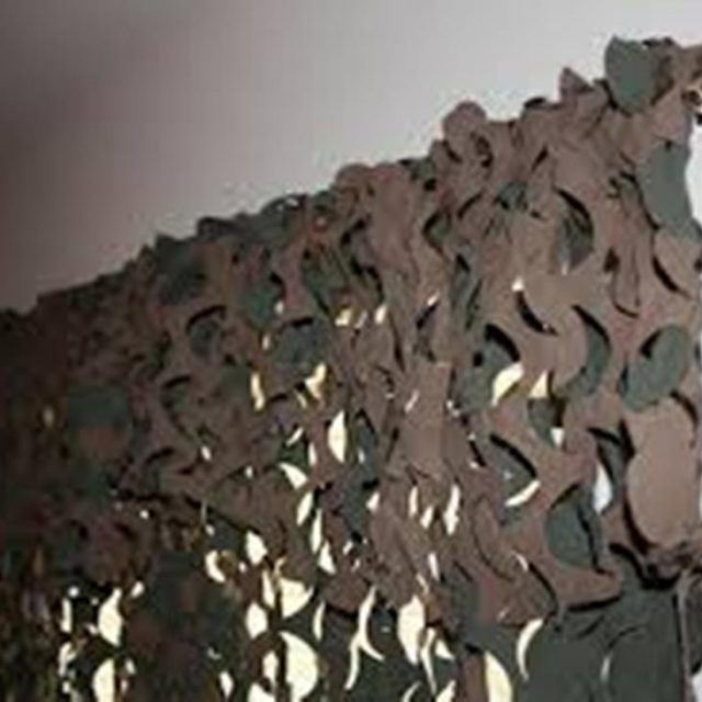 2024 Latest Camouflage Wall Art