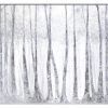 Birch Trees Canvas Wall Art (Photo 10 of 15)