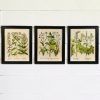 Framed Botanical Art Prints (Photo 6 of 15)