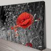 Red Poppy Canvas Wall Art (Photo 2 of 20)