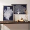 Framed Coral Art Prints (Photo 5 of 15)